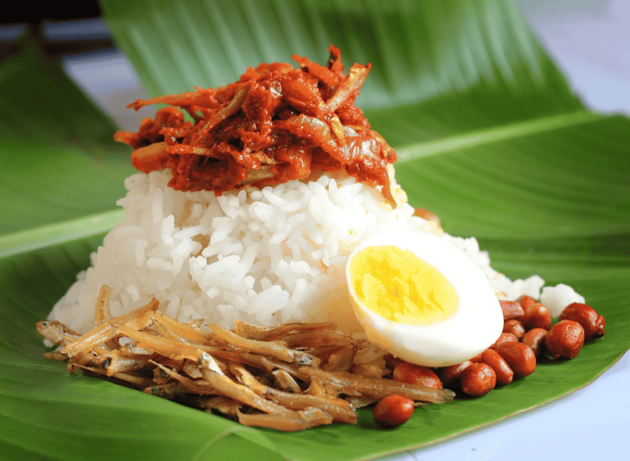 NASI LEMAK RM2